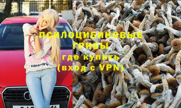 стафф Волоколамск