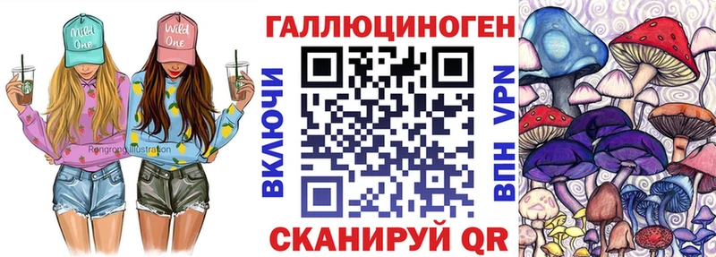 даркнет сайт  Гаврилов Посад  Псилоцибиновые грибы Cubensis 