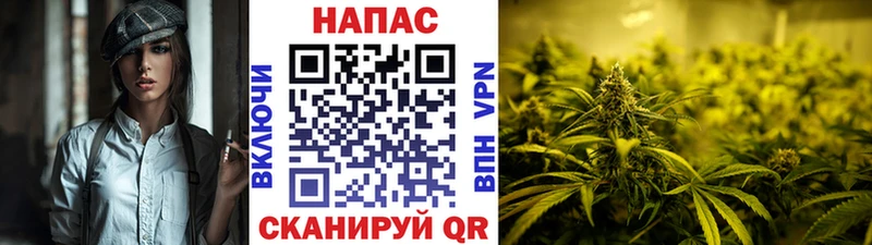 Бошки марихуана конопля Гаврилов Посад